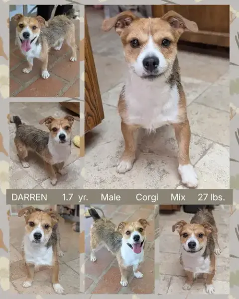 Darren