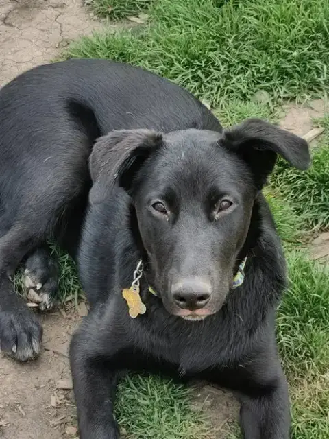Reginald Dwight photo 5