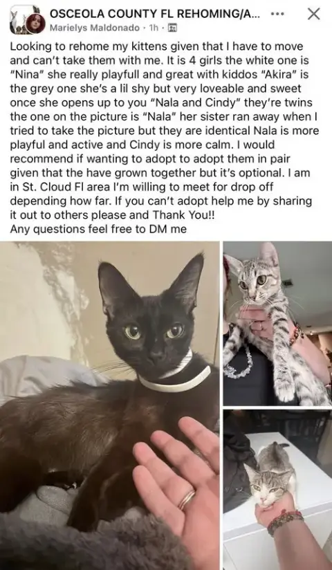 Nala photo 4