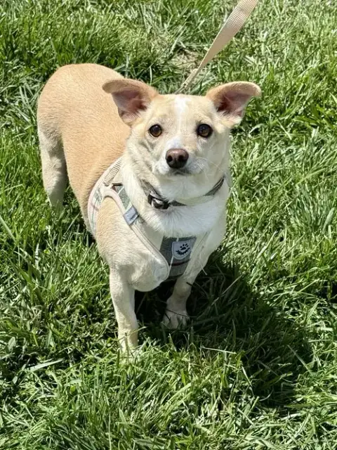 Mr. Peanut photo 2