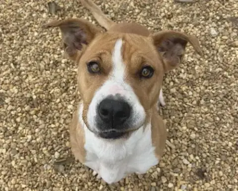 Suzie