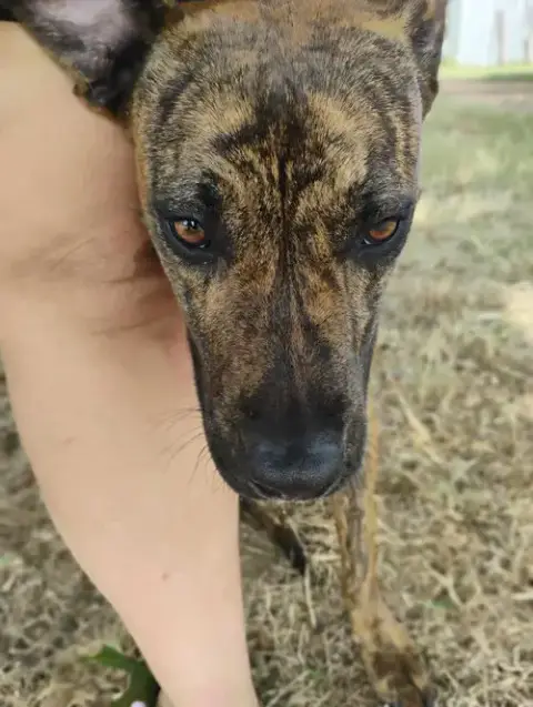 Mr. Wiggles photo 2