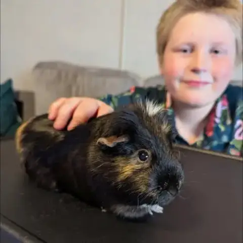 Bebe