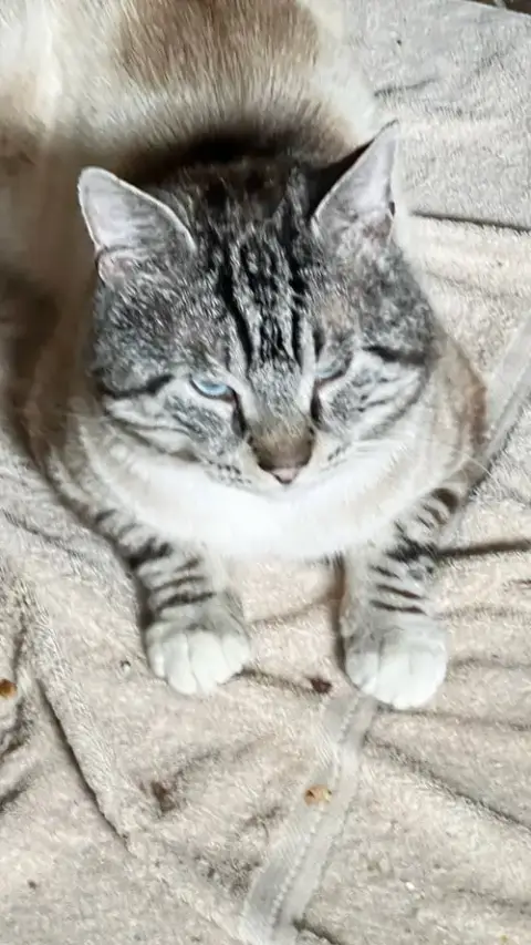 Sterling