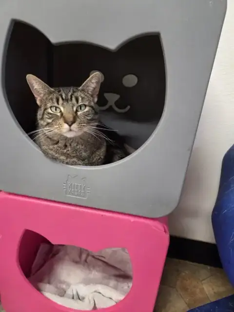 Karma
