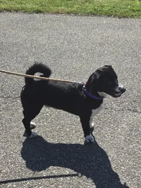 Frodo photo 3