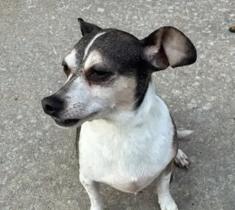 Luke-In A Foster Home photo 4