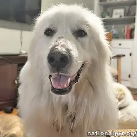 Shiloh In Sc
