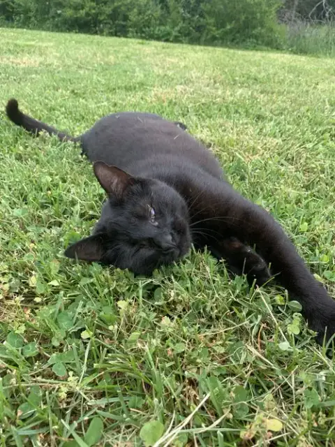 Lucy photo 2