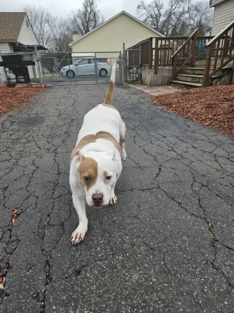 Roxy photo 4