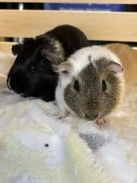 Charlie & Phoebe
