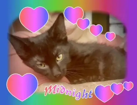Midnight photo 2