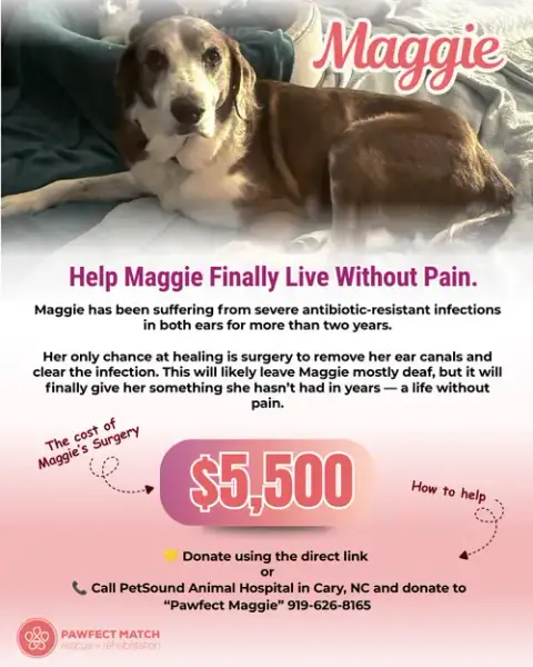 Maggie Pearl photo 2