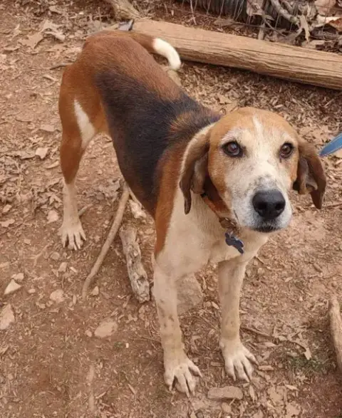 Alexander:  Not At The Shelter photo 3