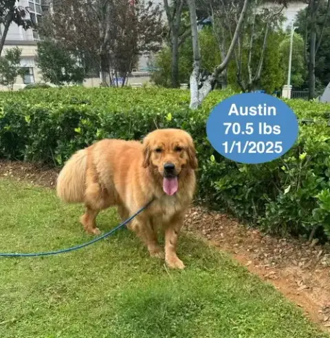 Austin photo 3