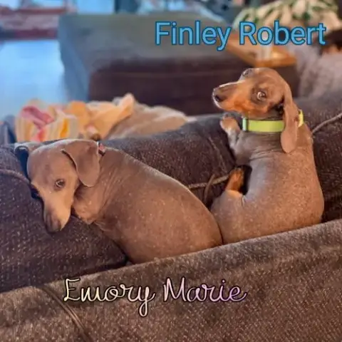 Emory Marie+ photo 4