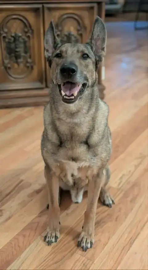 Zaxby