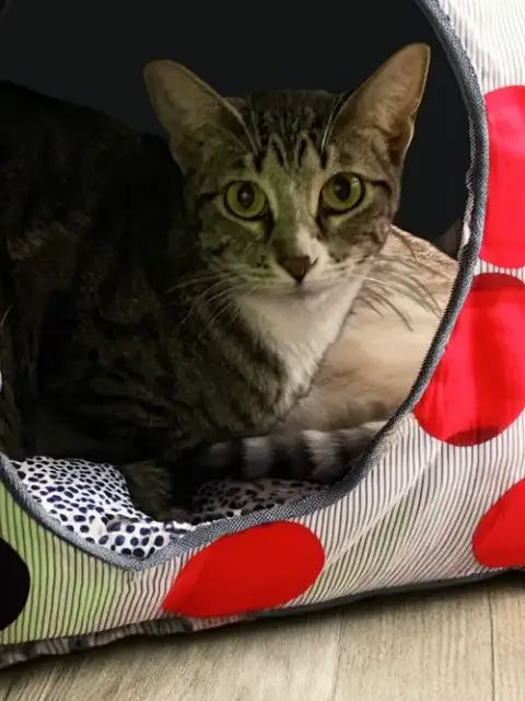 Bella photo 4