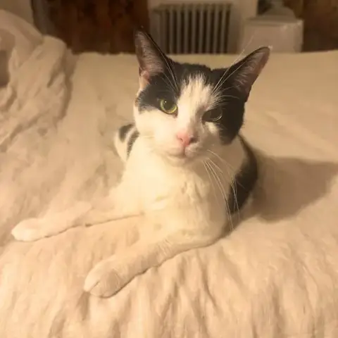 Lil' Sir
