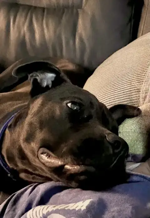 Mocha photo 5