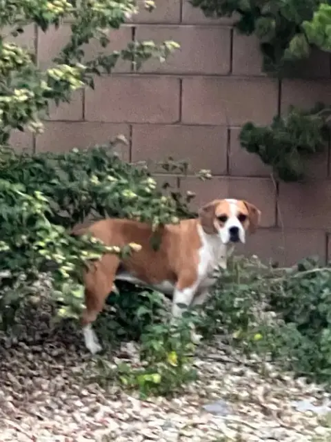 Maybel photo 4