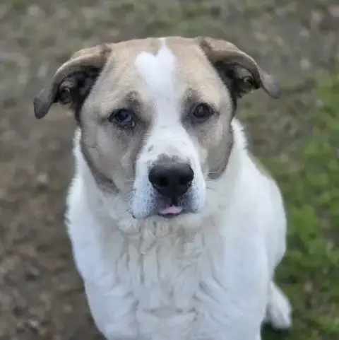 Max photo 4