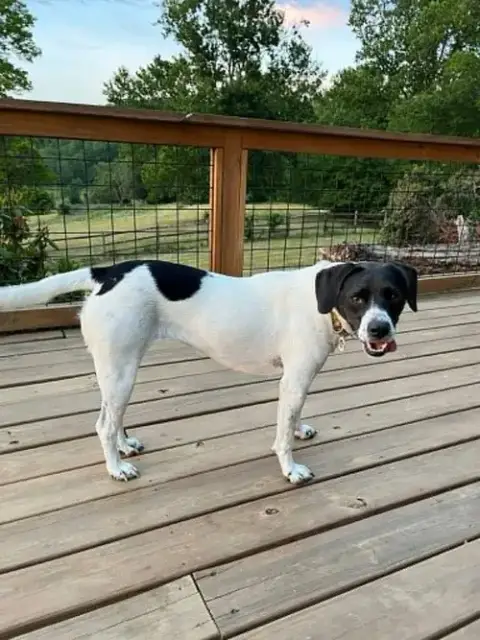 Addie photo 2
