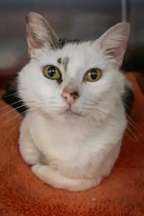 Penelope photo 2