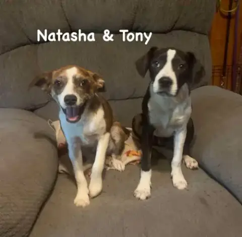 Natasha photo 3