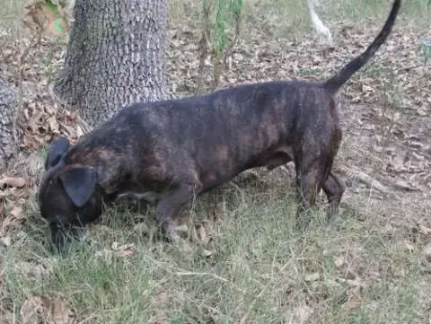 Zeus photo 2