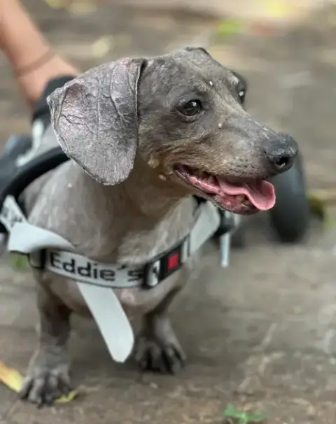 Darwin photo 2