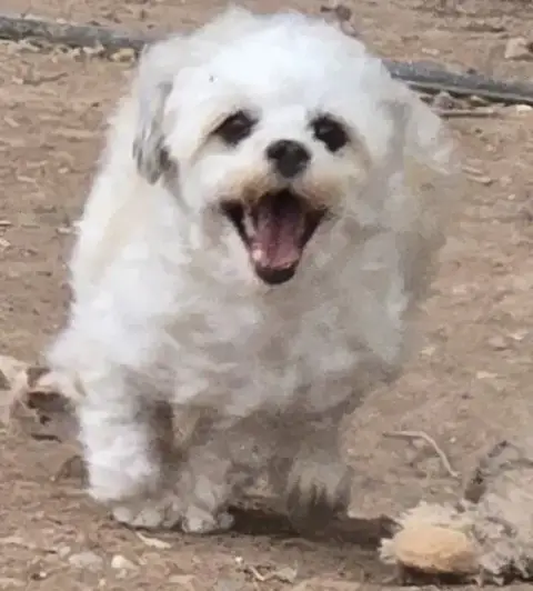 **Lola photo 4