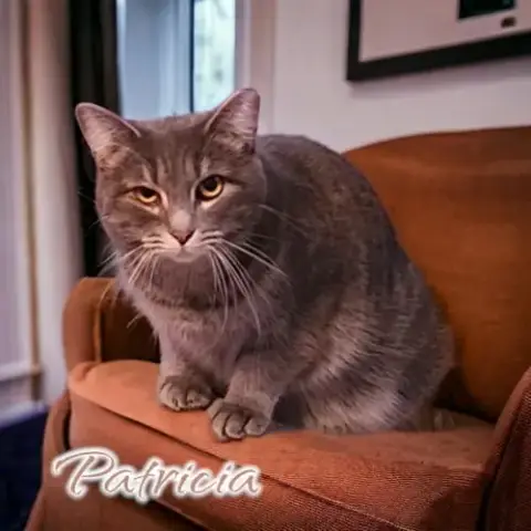 Patricia photo 4