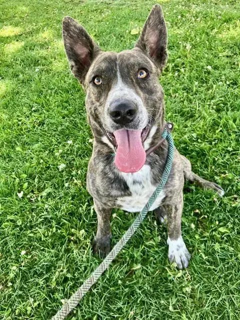 Sam