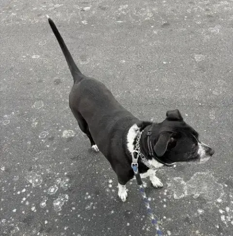 Cora photo 2