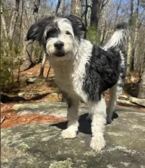 Holly In  Ri photo 3