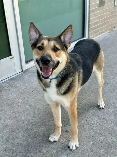 Baxter