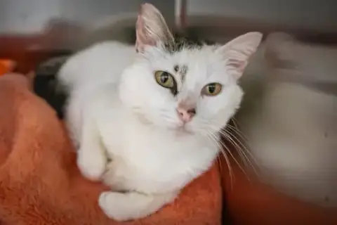 Penelope photo 4