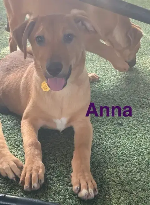 Anna photo 3