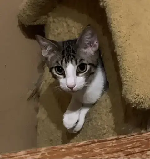 Theodore