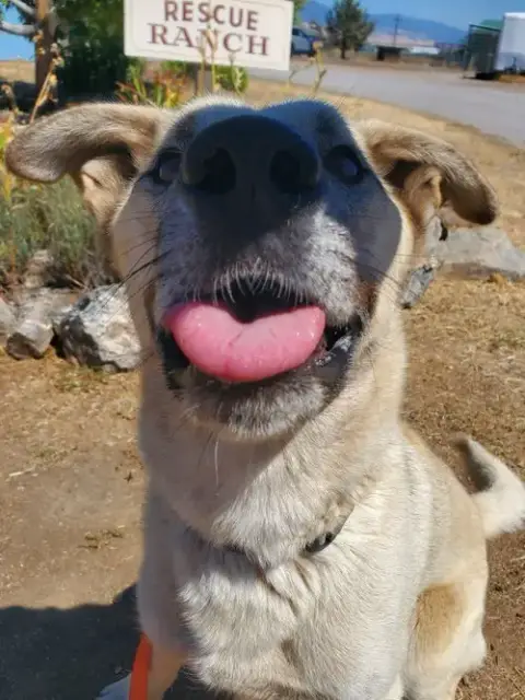 Floyd photo 4