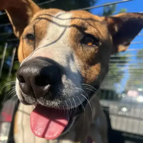 Tucker