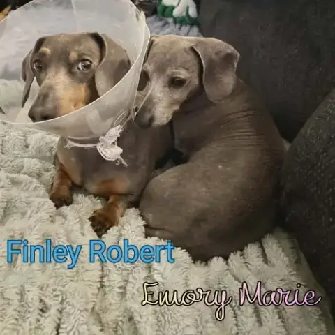 Finley Robert+ photo 5