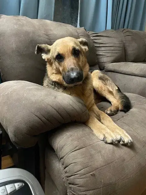 Molly photo 3