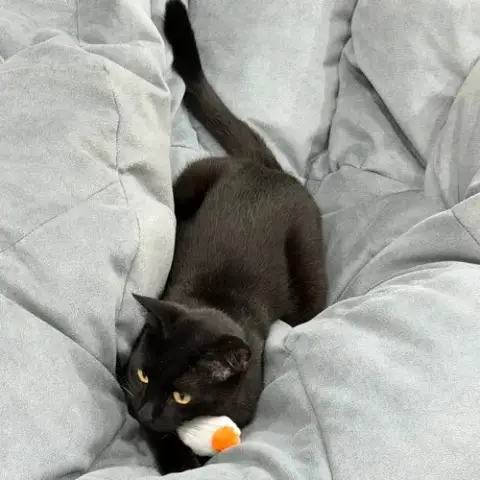 Shady Luna photo 4