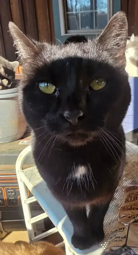 Terri