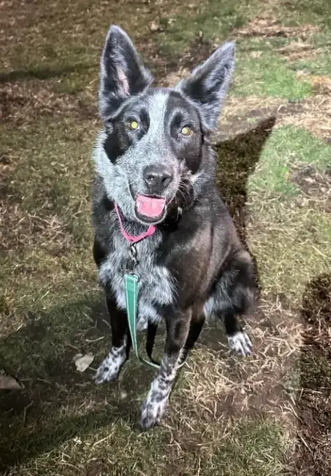 Abby- For Sponsorship Only photo 3