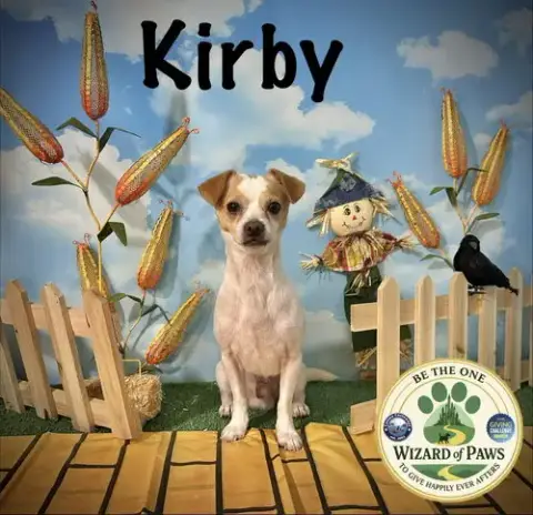 Kirby photo 2