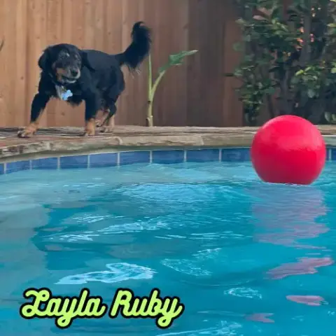 Layla Ruby photo 5