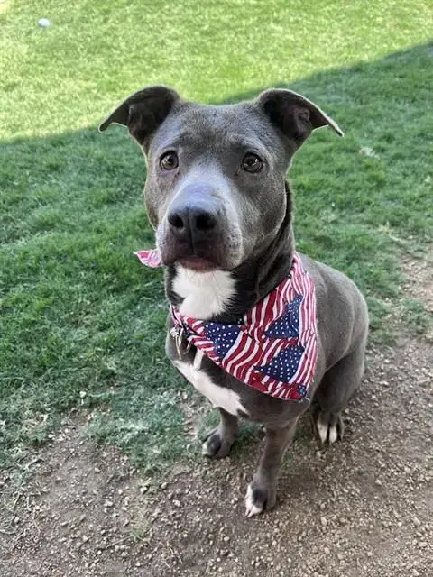 Sadie